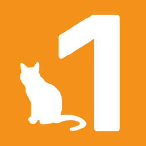 single cat