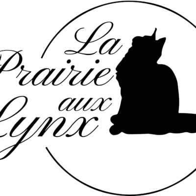 chatterie de la prairie aux lynx