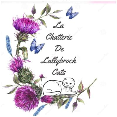 La Chatterie De Lallybroch Cats