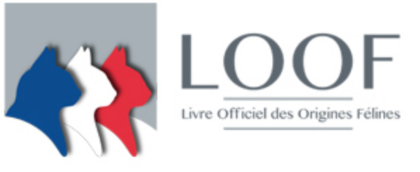 loof,