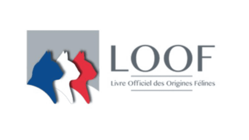 loof