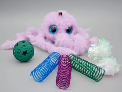 Jouets et accessoires pour petits et grands félins