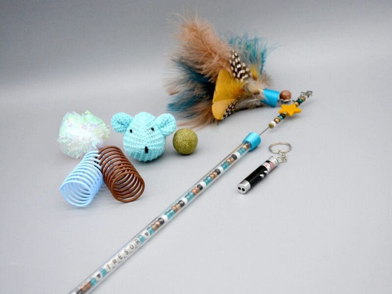 Jouets et accessoires pour petits et grands félins