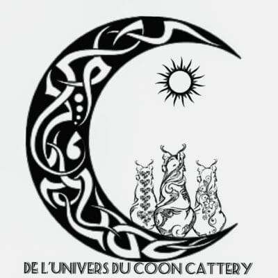 De l’univers du coon Cattery