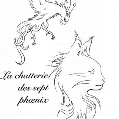 CHATTERIE DES SEPT PHOENIX
