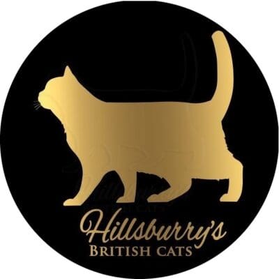 Chatterie Hillsburry's