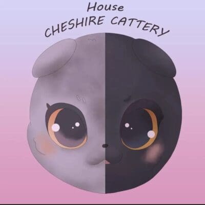 House Cheshire Cattery