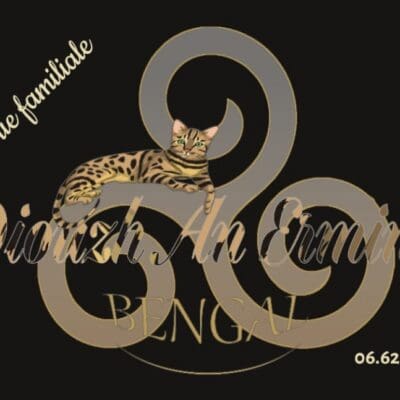 Chatterie Diouzh An Erminig