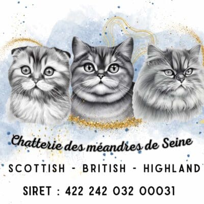 Chatterie des Méandres de Seine