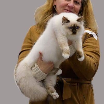 Chatterie des Falaises de Kevar