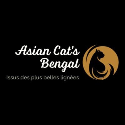 Asian Cat's