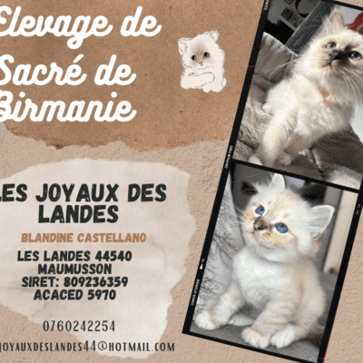 Chatterie Les Joyaux des Landes