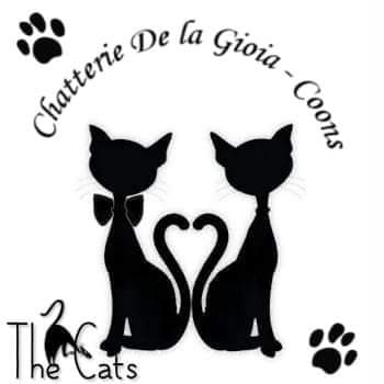 Chatterie De La Gioia-Coons