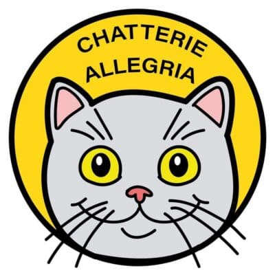 Chatterie Allegria (Scottish & British)