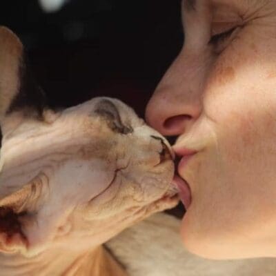 Chatterie des Chtis Loves