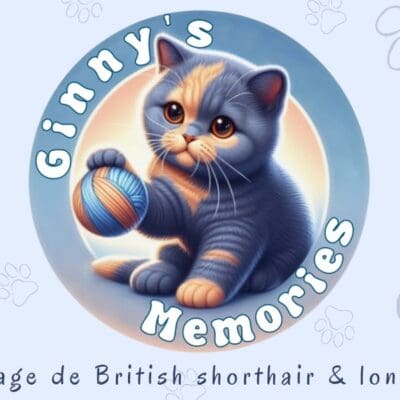 Ginny's Memories